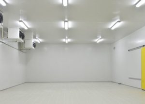 Temperature-Controlled Cold Storage